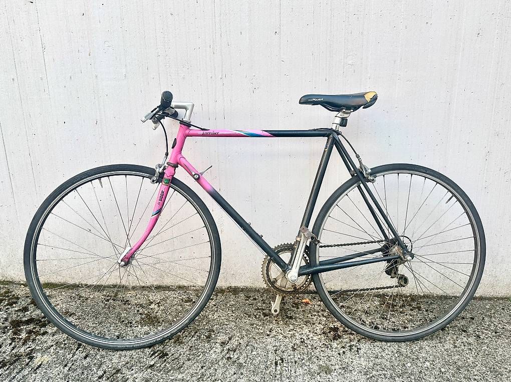 Koga Biciclette: KOGA Cityrenner – Usato da Bern venduto da Schoent