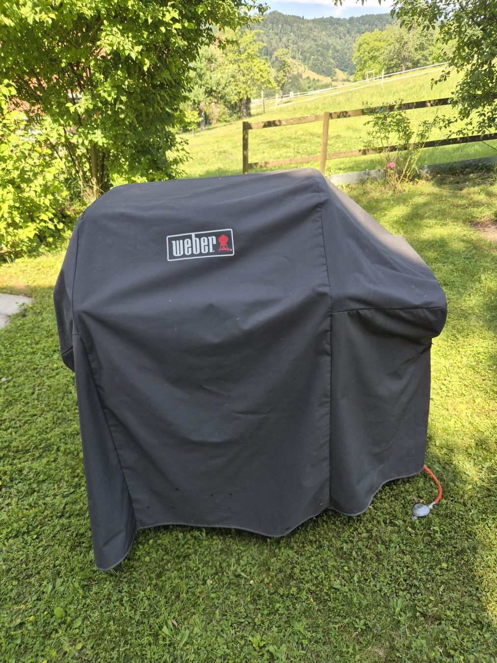 Weber Grils: Weber Grill Genesis II mit 3 Brennern – D'occasion à Muri AG par Biker2212 2
