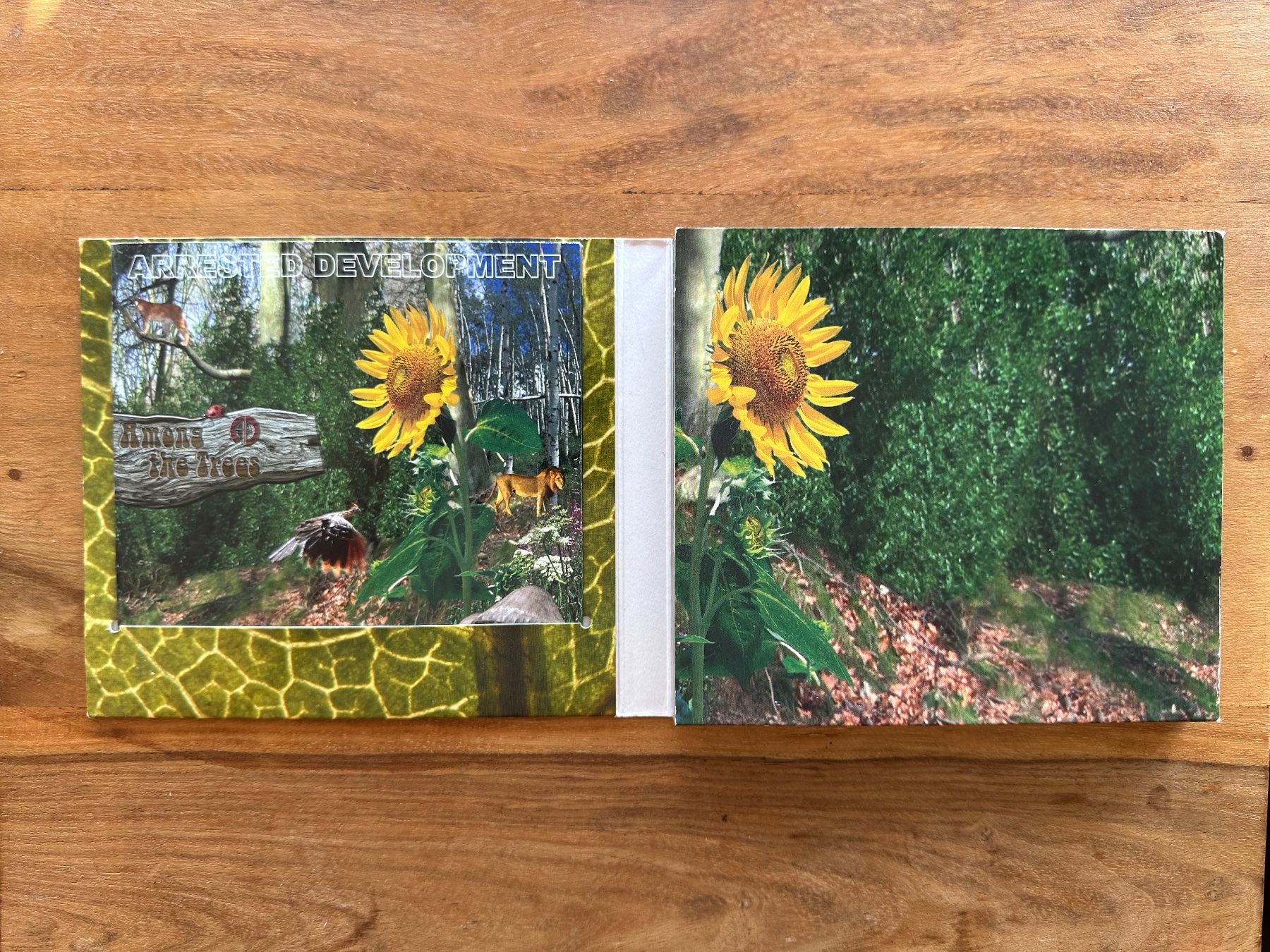 CDs: Arrested Development ‎– Among The Trees – Gebraucht aus Horgen von flyingpenguin2000 1