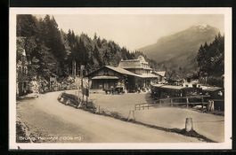 AK Brünig, Bahnhof mit haltendem Zug