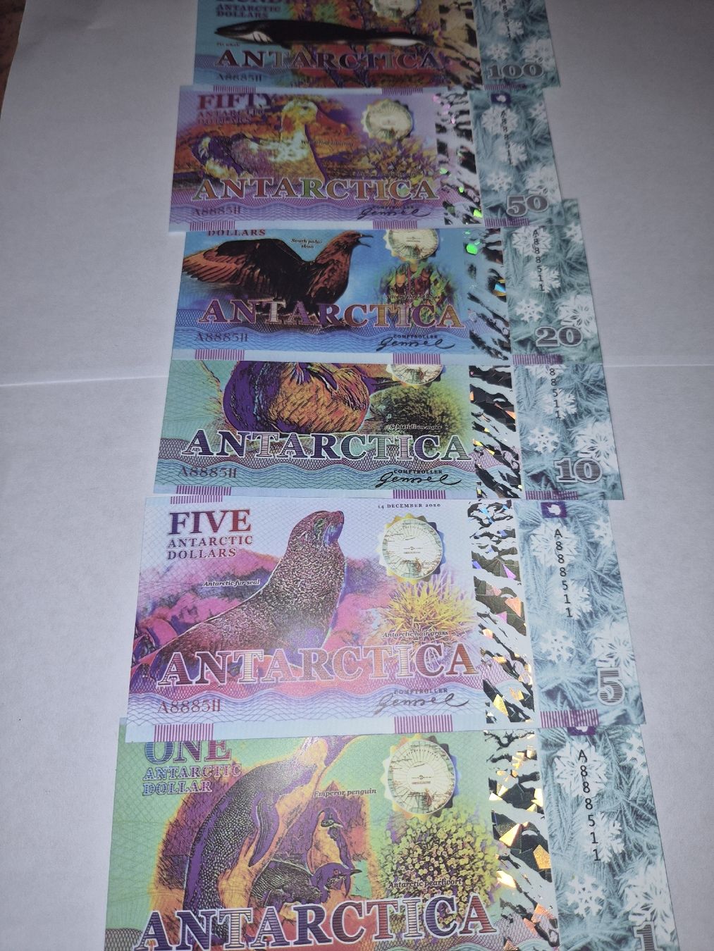 Banconote: Lots de 6 Billets commémoratifs animaux Antarctica – Nuovo (secondo la descrizione) da Senèdes venduto da hen_fw8b