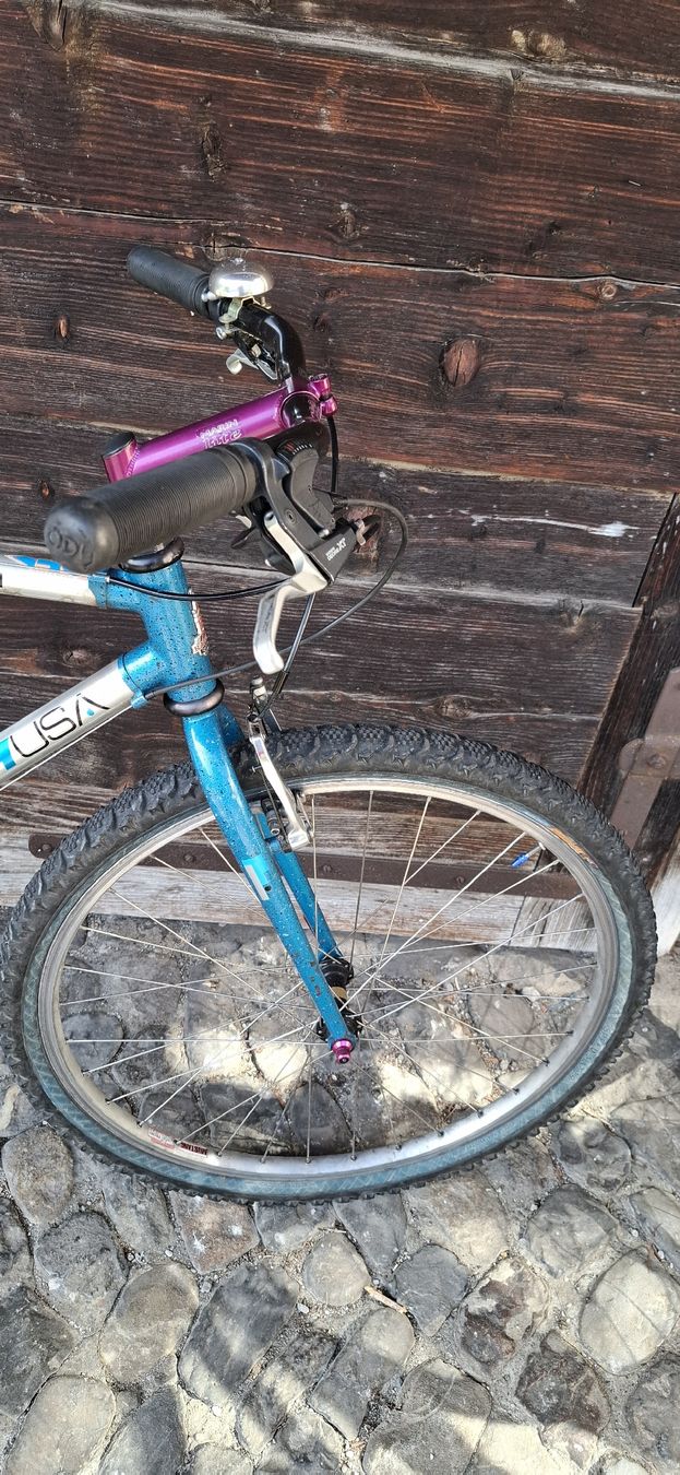 Raleigh Velos: Kult MTB Raleigh – Gebraucht aus Adliswil von trujillo01 4