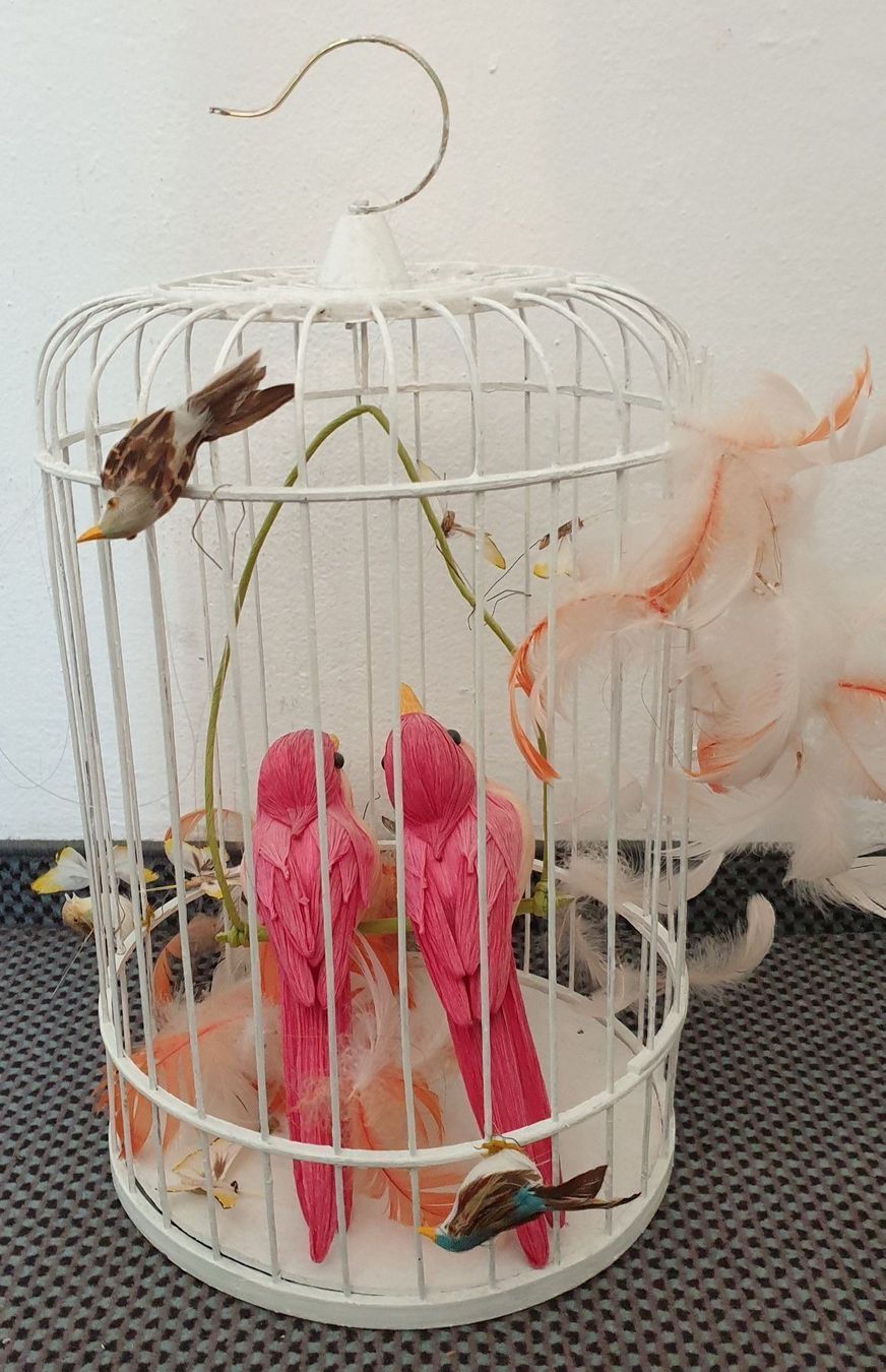 Tutte le decorazioni: Dekoration Vogelkäfig – Usato da Chur venduto da copino 2
