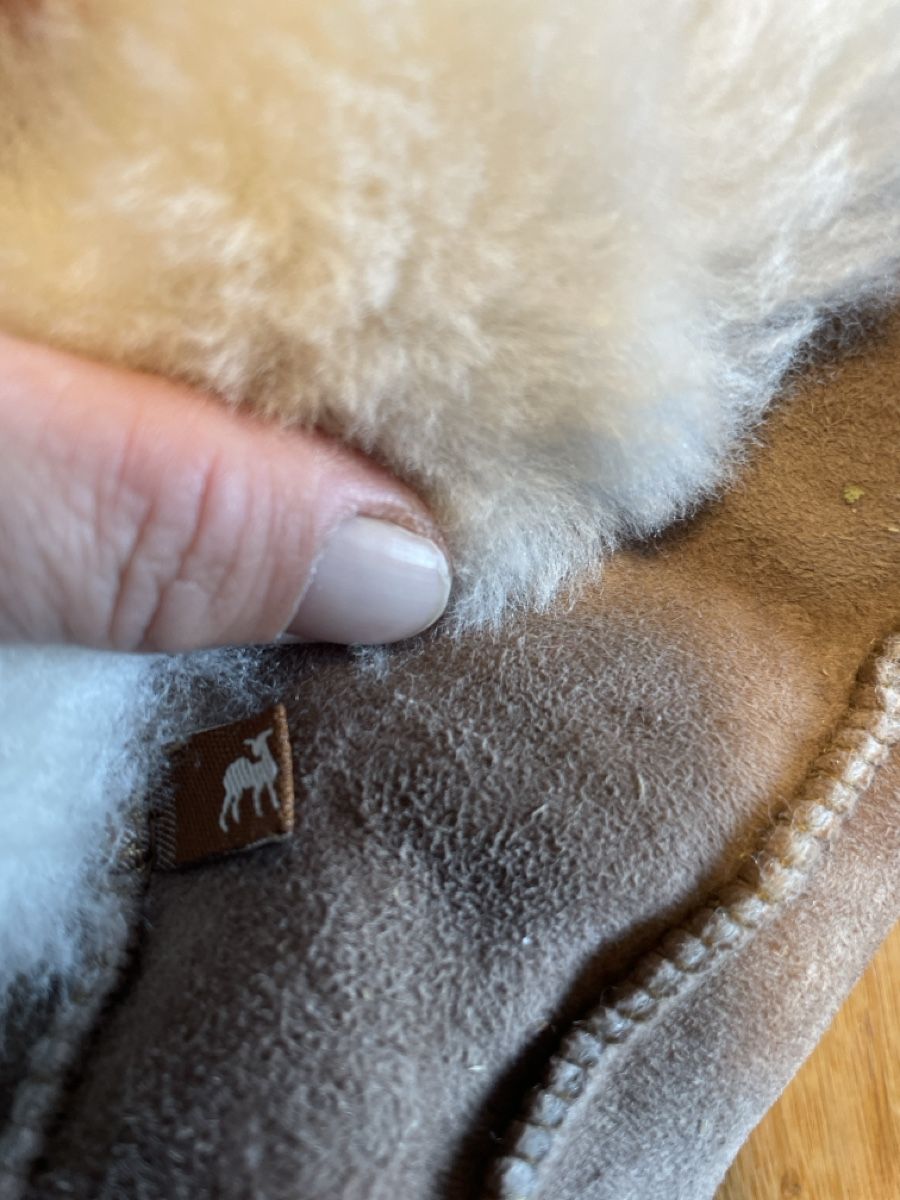 Schuhe für Jungen: Schuhe 22 – Neu (gemäss Beschreibung) aus Benken ZH von stefiz 3