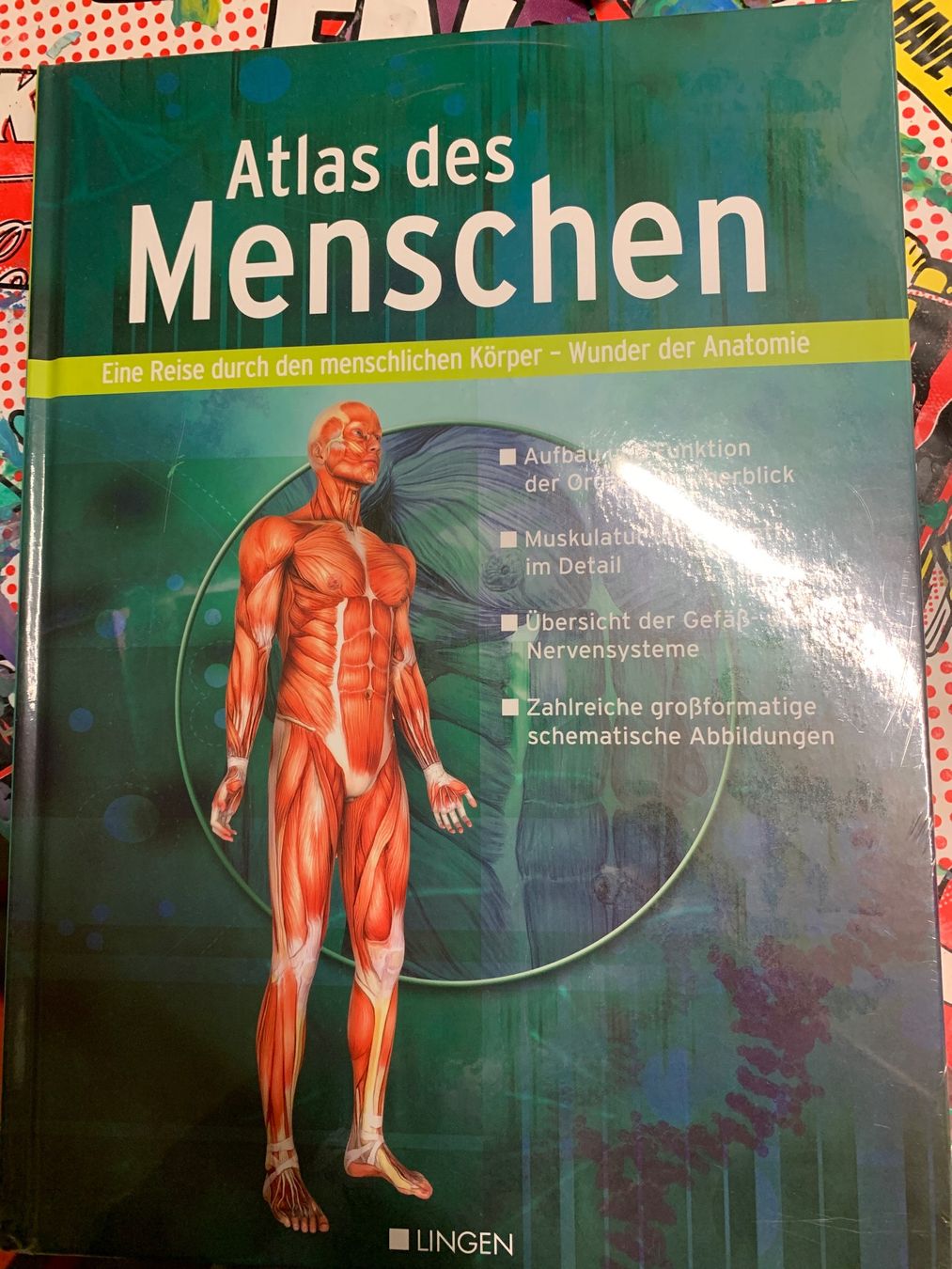 Livres: Buch – Neuf avec emballage d'origine à Zürich par coco1211969