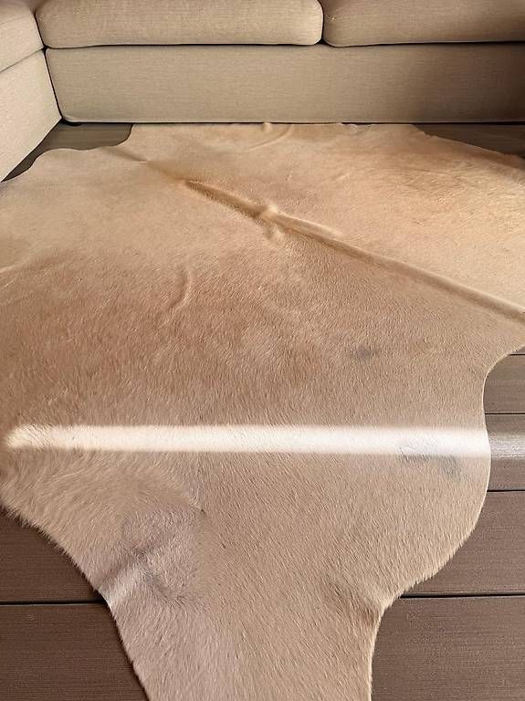 Tappeti: Kuhfell als Teppich weiss – Usato da Faoug venduto da hkxyz01