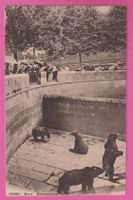 Bern gel 1923 ?? Bärengraben belebt