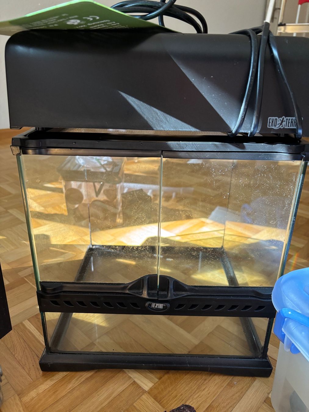 Exo terra Terrario: Terrarium ExoTerra mit div. Zubehör – Usato da Basel venduto da bho_m8z8 2