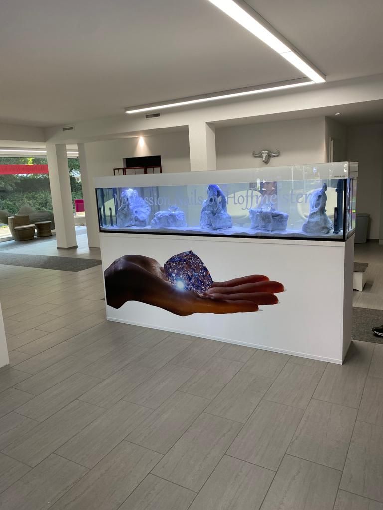 Acquari: Aquarium 250x50x50 – Nuovo (secondo la descrizione) da Berikon venduto da fischundart 2