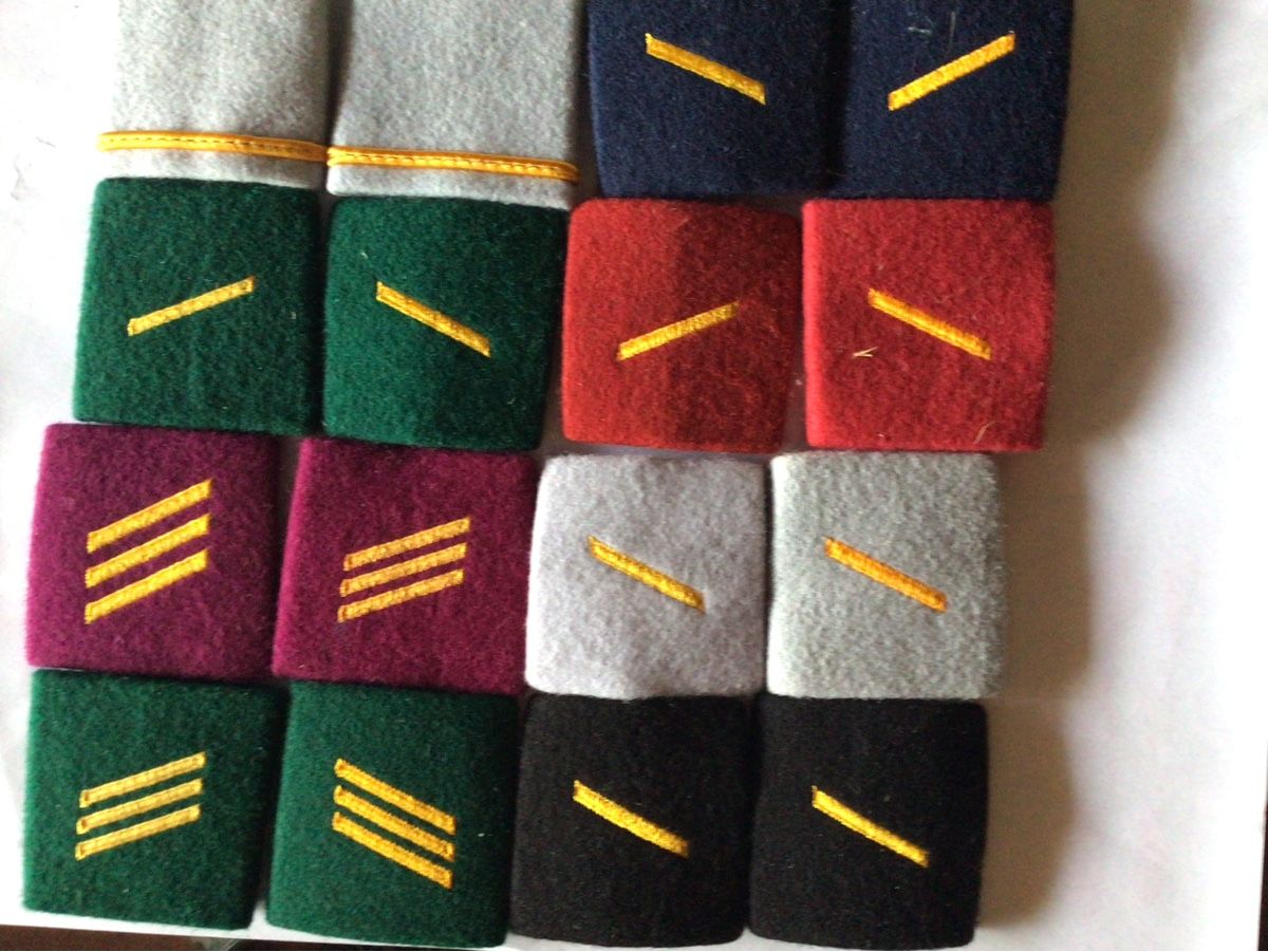 Schweizer Armee Plaketten & Abzeichen: Badges grades à 95 – Gebraucht aus Crête-à-l'oeil von Mga2