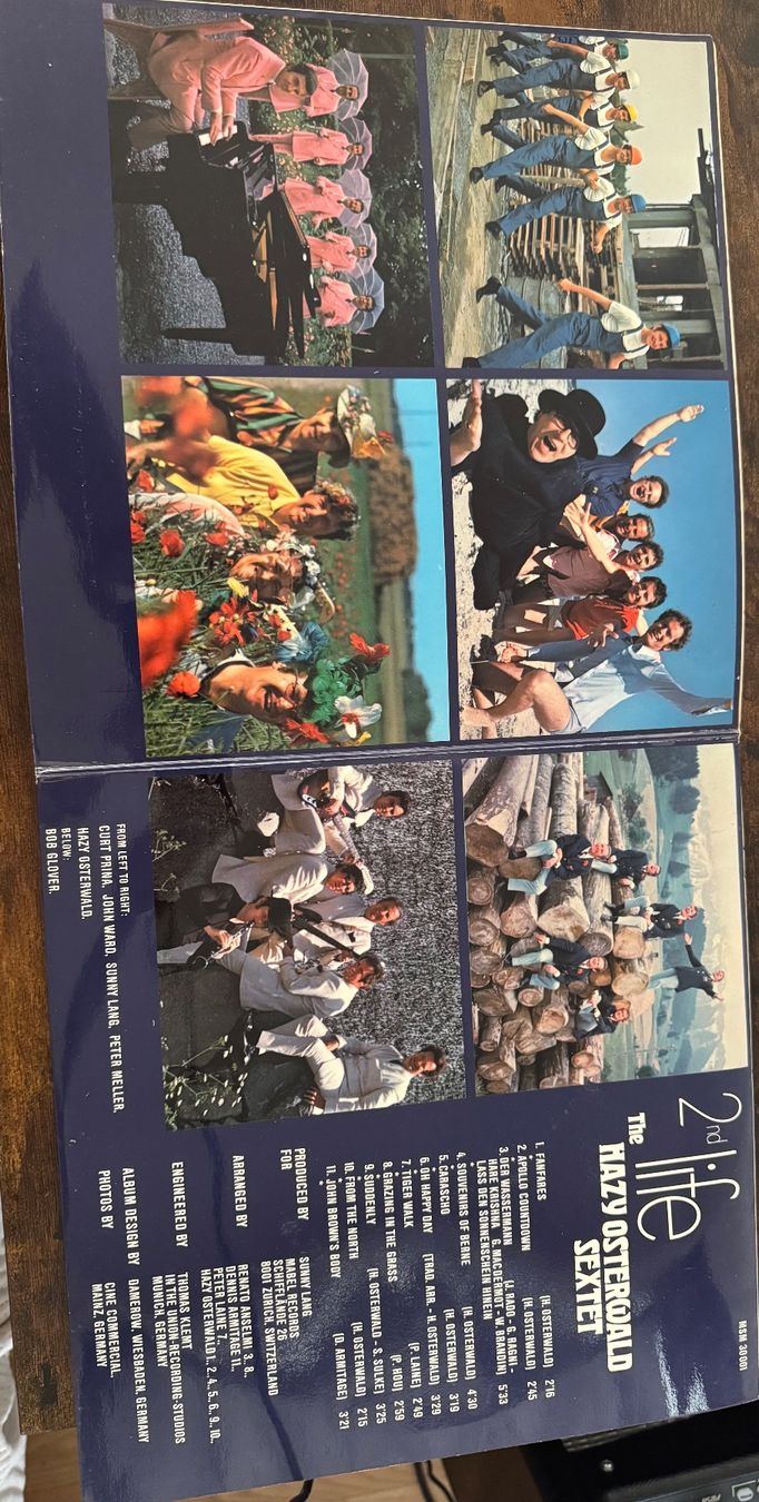 Dischi in vinile: Vinyl – Usato da Langenthal venduto da fischlig02 1