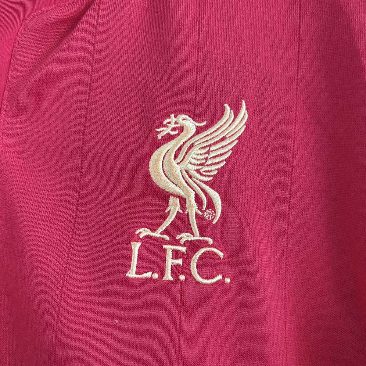 Liverpool Fc Canottiere & Pantaloni: Fc Liverpool Trikot Warrior Suarez – Usato da Winterthur venduto da LaBodega 4