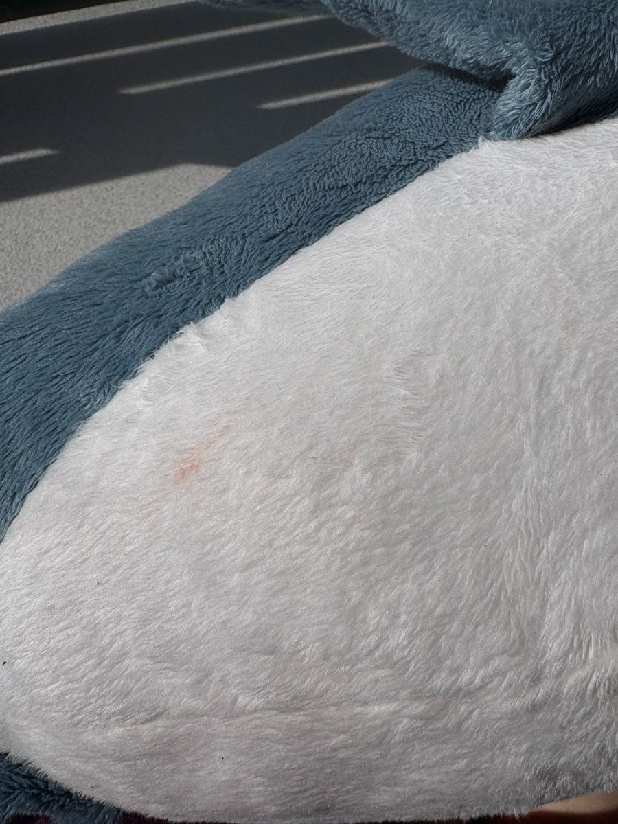 Spielzeuge: Peluche requin – Gebraucht aus Ovronnaz von Justine96 2