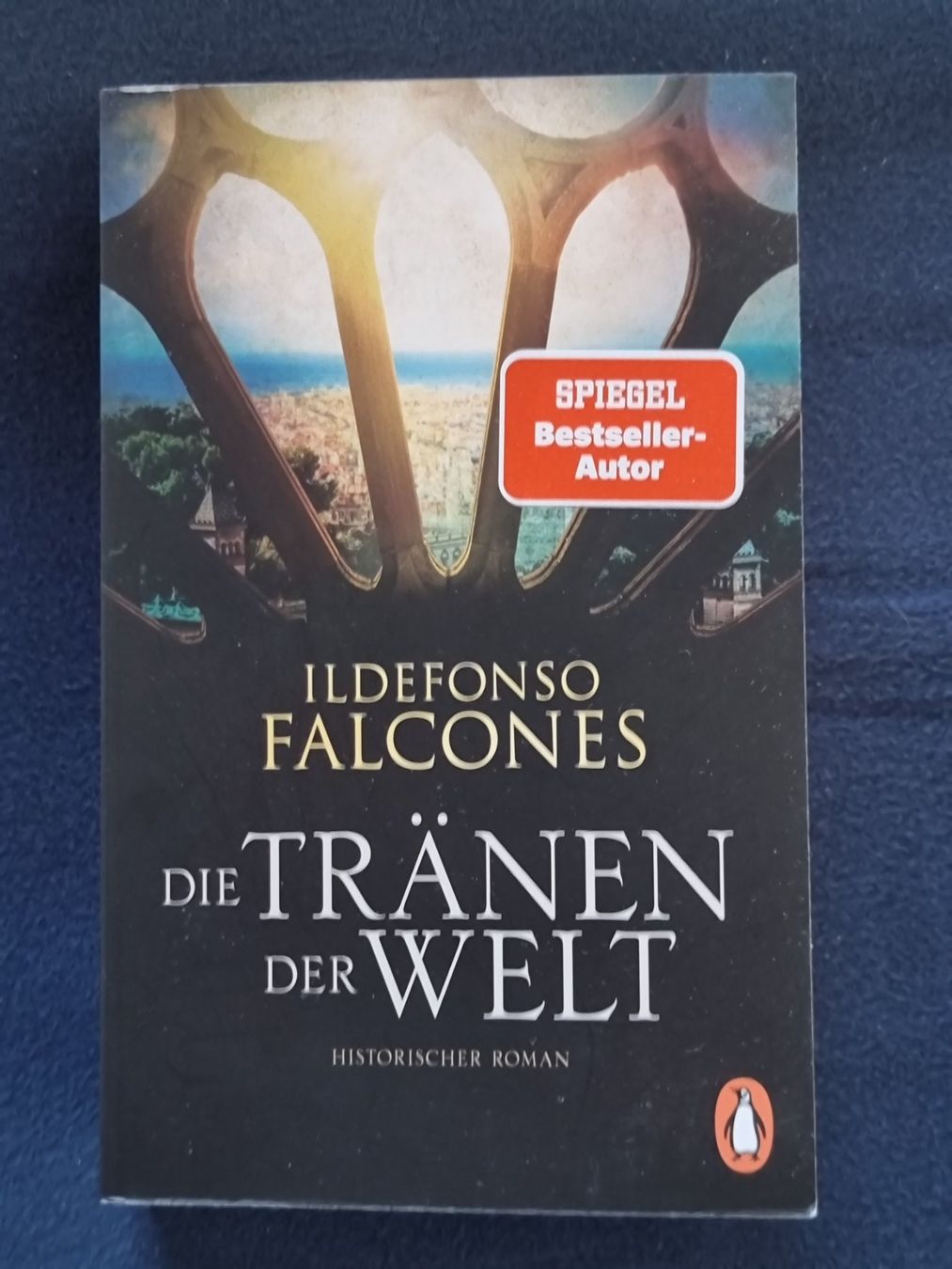 Libri: Ildefonso Falcones   Die Tränen der Welt – Usato da Arosa venduto da horseracing
