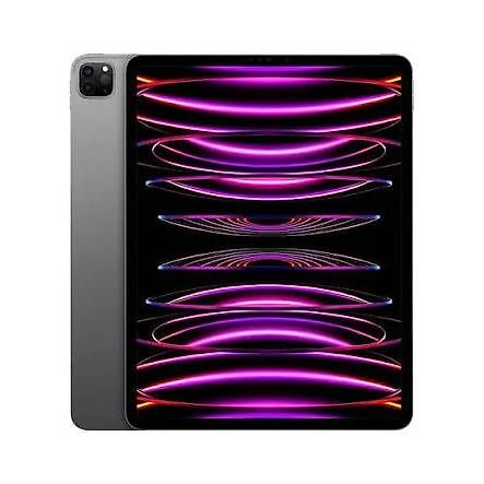 Apple Tablet PC: Apple iPad Pro 12.9 2022 M2 6. Gen. – Usato da Meisterschwanden venduto da meisti12 4