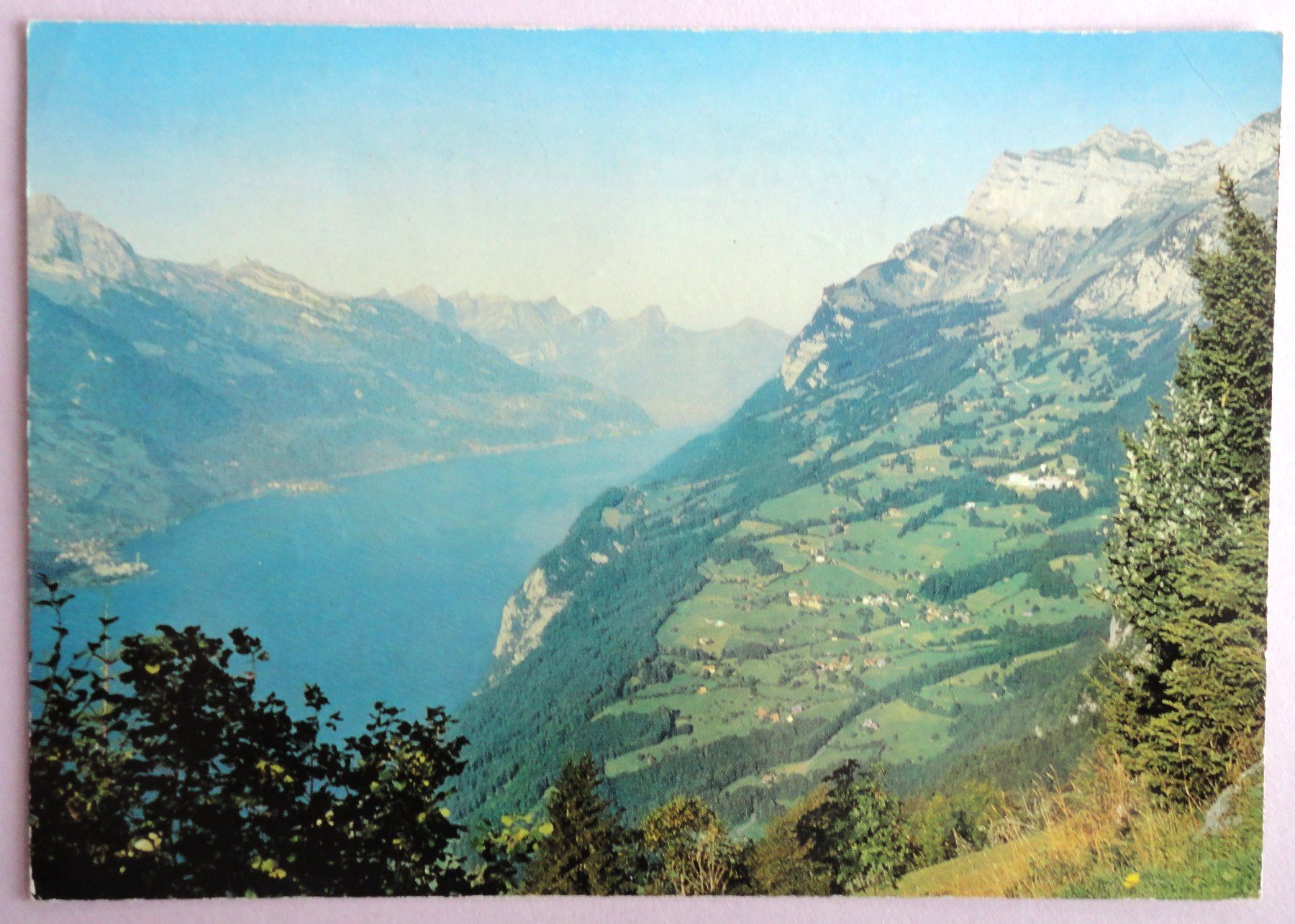 Cartoline postali: Walenstadtberg mit Leiskamm – Difettoso da Fétigny venduto da Billy2miny