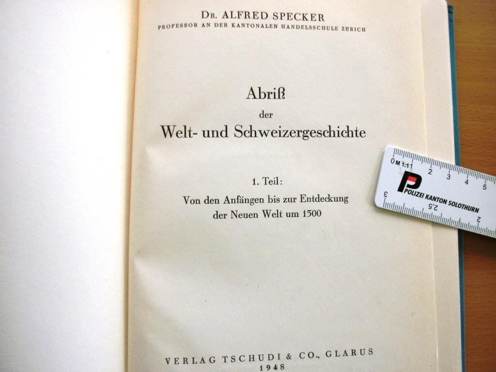 Libri: Abriss der Welt- und Schweizergeschichte – Usato da Grenchen venduto da Kogi7 1