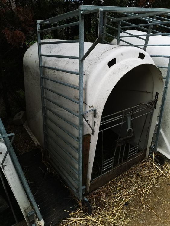 Gabbie, trasporto & Sicurezza: Kälberiglu – Usato da Esslingen venduto da ric_ly2m 4