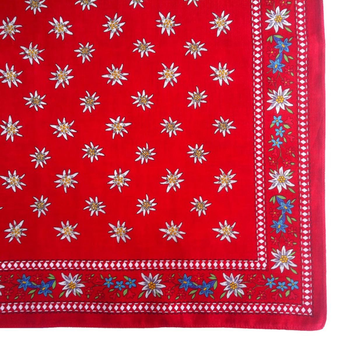 Altro in  Abbigliamento & Accessori: Nickituch, Bandana, Gesichtsschutz – Nuovo e nell'imballaggio originale da Appenzell venduto da Jenzler