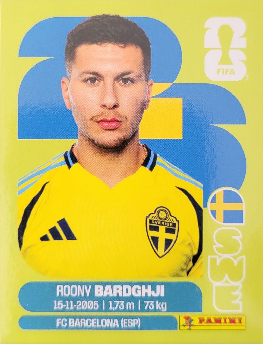 Panini Carte collezionabili: Panini FIFA World Cup SWE 16 – Nuovo (secondo la descrizione) da Wallisellen venduto da never_give_up