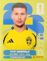 Panini FIFA World Cup SWE 16