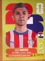 Panini PAR15