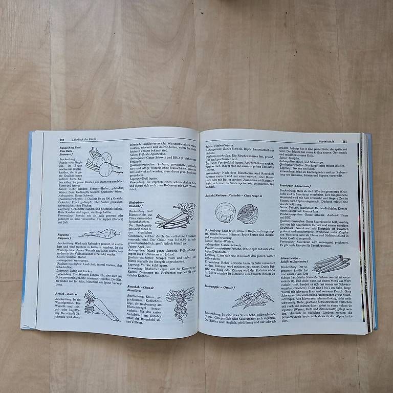 Libri: Lehrbuch der Küche - Eugen Pauli – Nuovo (secondo la descrizione) da Zug venduto da Sunshine_113 2