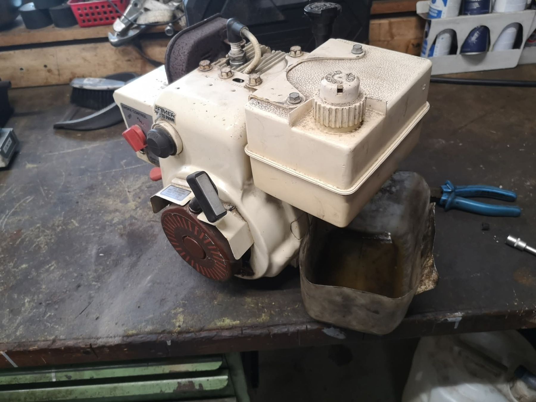 Motori: Tecumseh HS50 – Usato da Böbikon venduto da Domplex 2