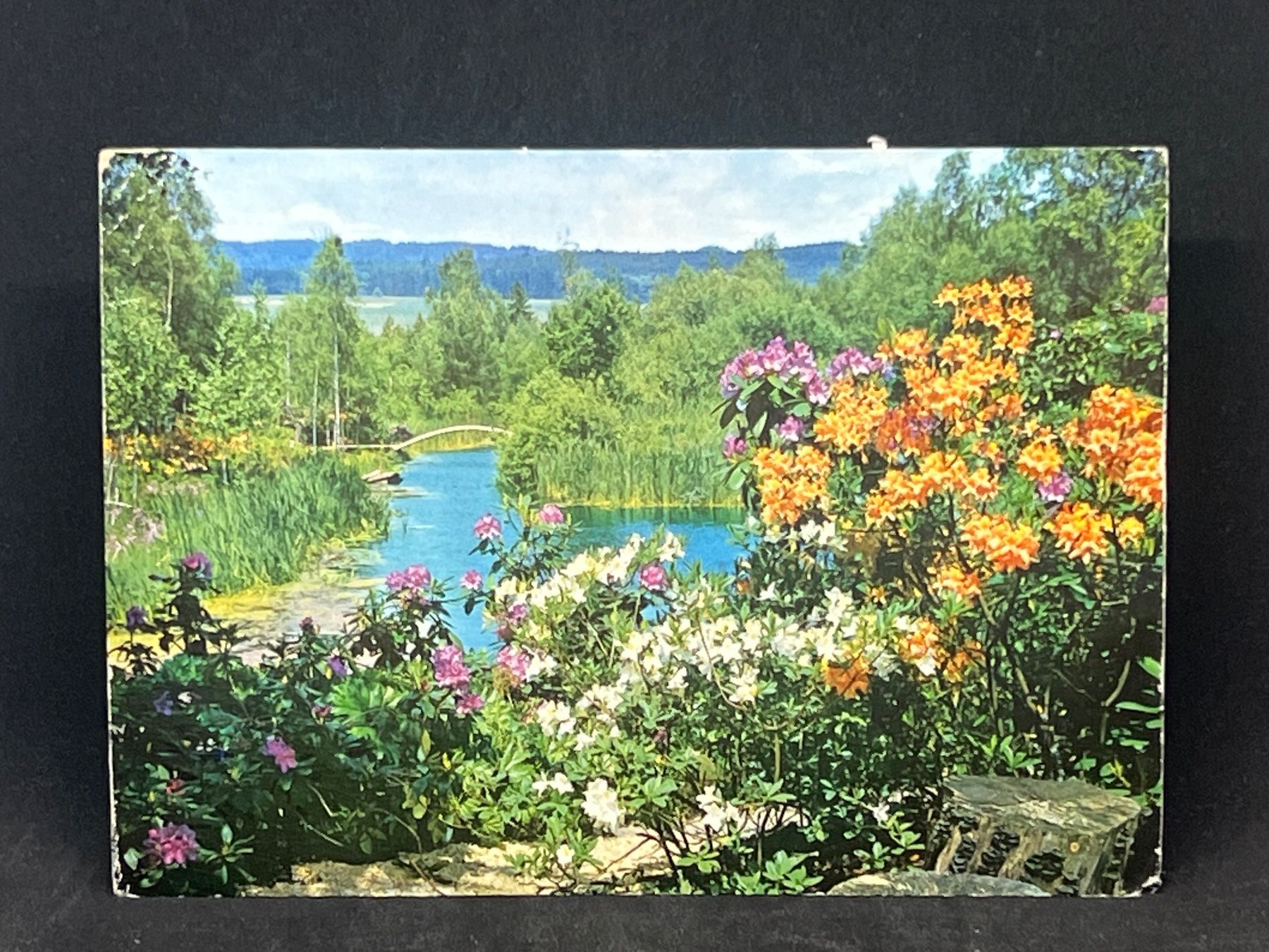 Cartoline postali: Ansichtskarte: Seleger Moor (Baumschule, Adliswil ZH) – Usato da Widnau venduto da Brusi9
