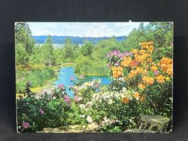 Ansichtskarte: Seleger Moor (Baumschule, Adliswil ZH)
