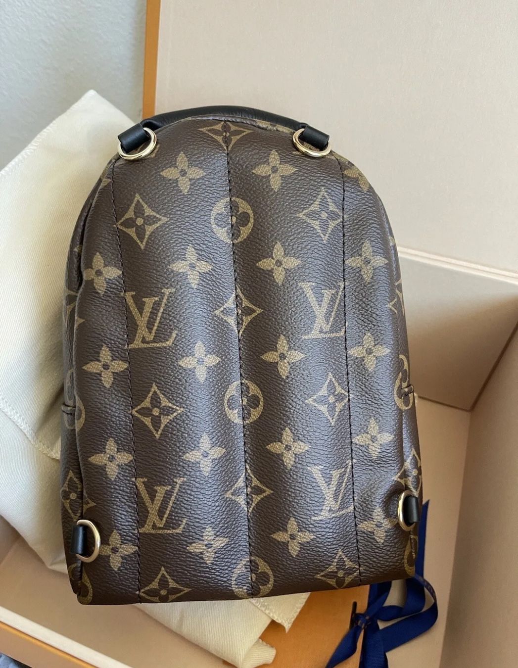 Louis Vuitton Zaini: ORIGINAL Louis Vuitton Palm Springs Mini backpack Monogram – Nuovo e nell'imballaggio originale da Frauenfeld venduto da Vanityroom 5
