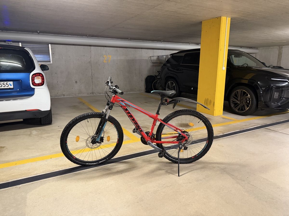 Stevens Velos: Stevens Tonga Mountainbike – Gebraucht aus Glattfelden von mondstaub