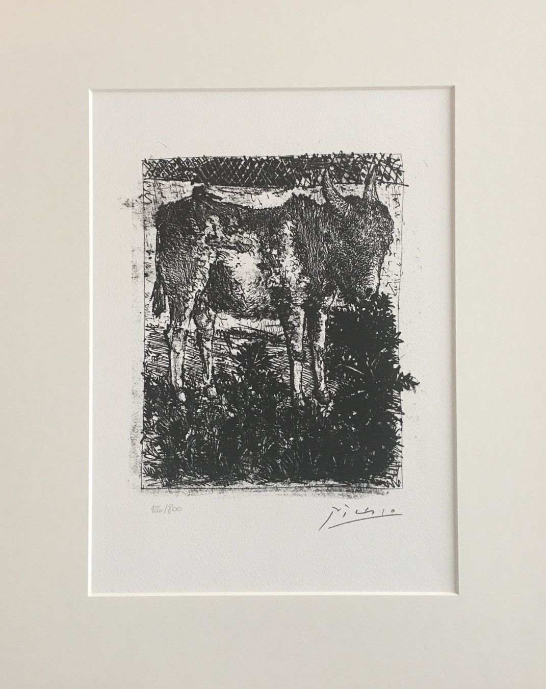 Grafica & Litografie: Pablo Picasso   Buffon Zyklus    "L' Ane"   Lithographie – Usato da Nennigkofen venduto da Sommersonnen 1