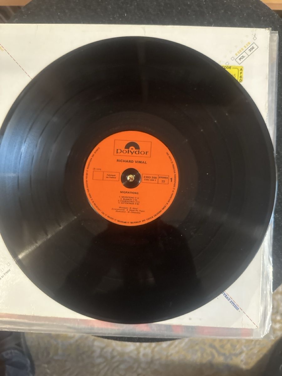 Dischi in vinile: Richard Vimal - Migrations - Schallplatte von 1976! – Usato da Dübendorf venduto da chi_cgv6 2