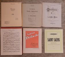 24 Musiknoten für Violine und Klavier