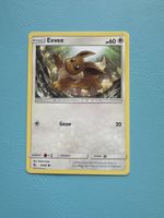 Pokemon Evoli Eevee 2019 mega süss top Karte Fanliebling 