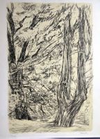 Victor Surbek Lithographie nummeriert und signiert