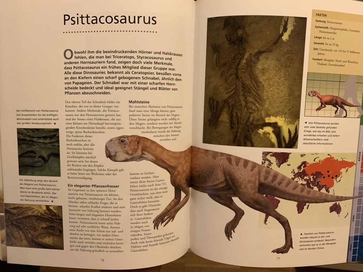 Libri: Dinosaurier Giganten der Urzeit – Nuovo (secondo la descrizione) da Zürich venduto da Gross9 3