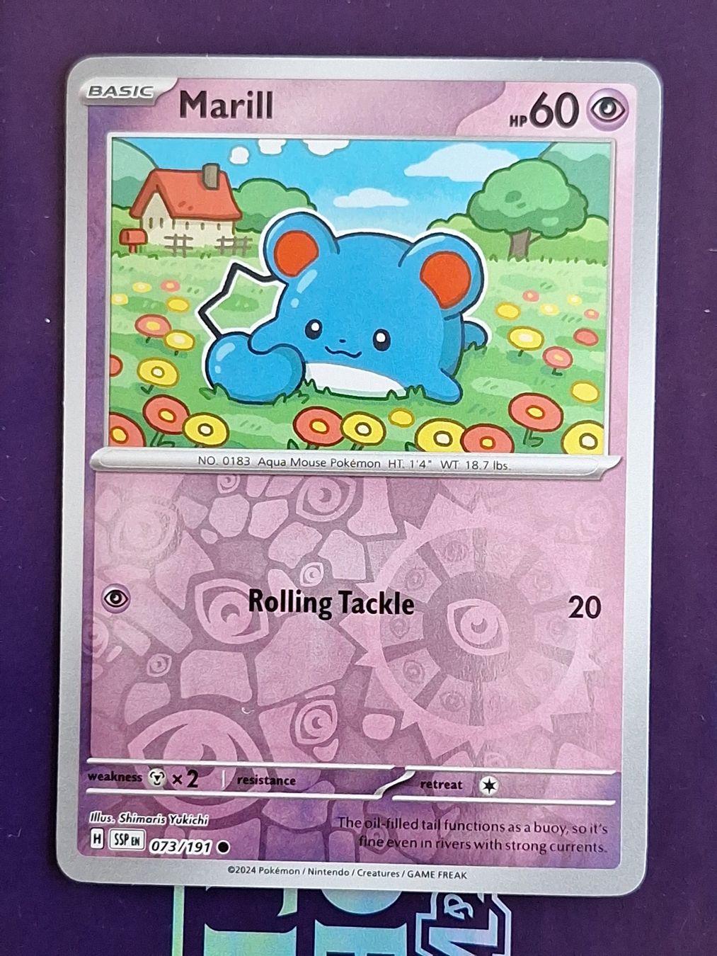 Pokémon Carte collezionabili: Marill - Reverse Holo - Pokemon Surging Sparks – Usato da Altstätten SG venduto da GGsGameshop