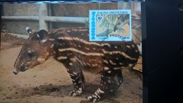 Nicaragua 1985 Satz WWF Tapir Maximumkarten