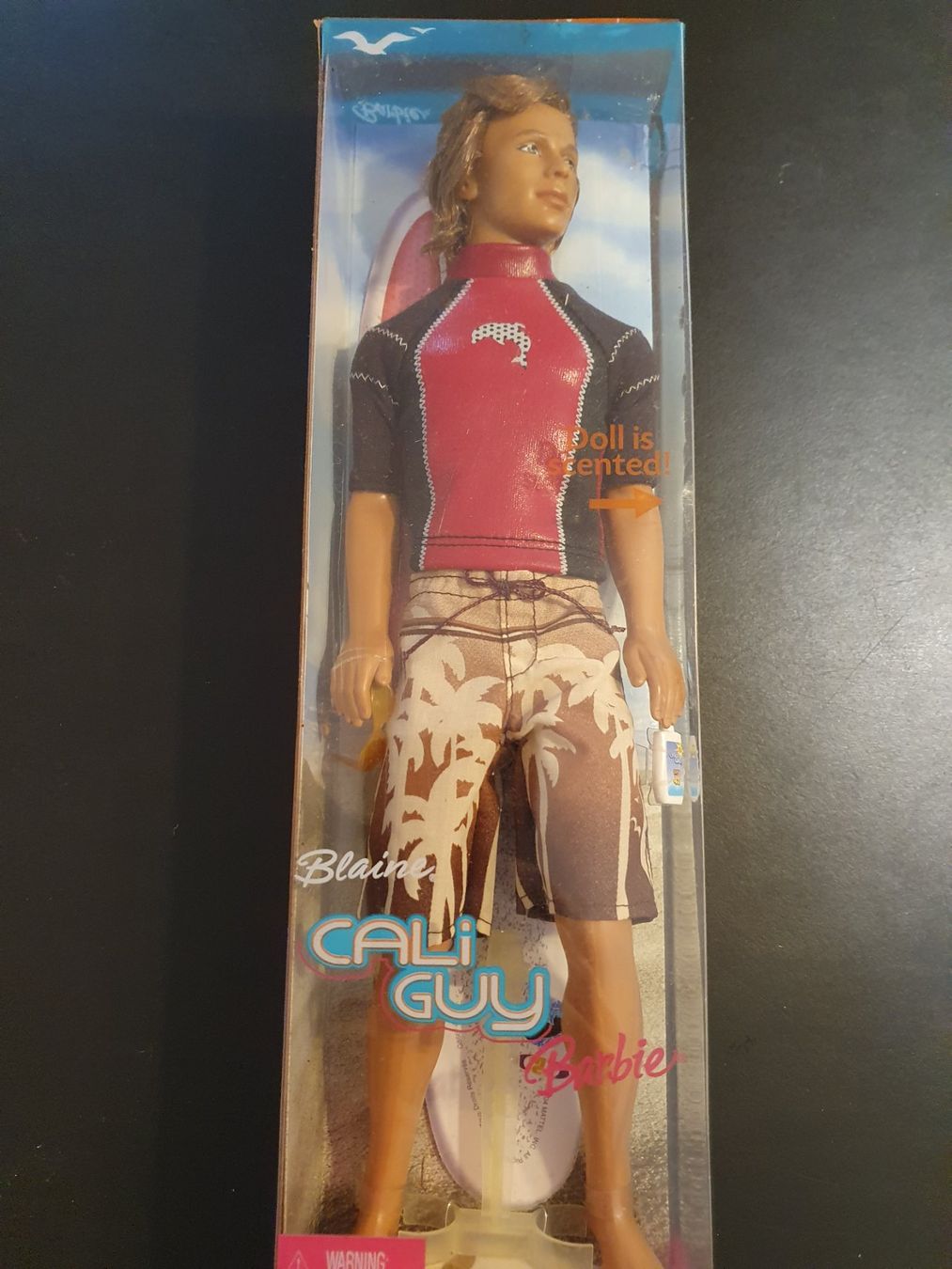 Puppen: Barbie Cali Guy Blaine, 2004 – Gebraucht aus Zürich von summersand