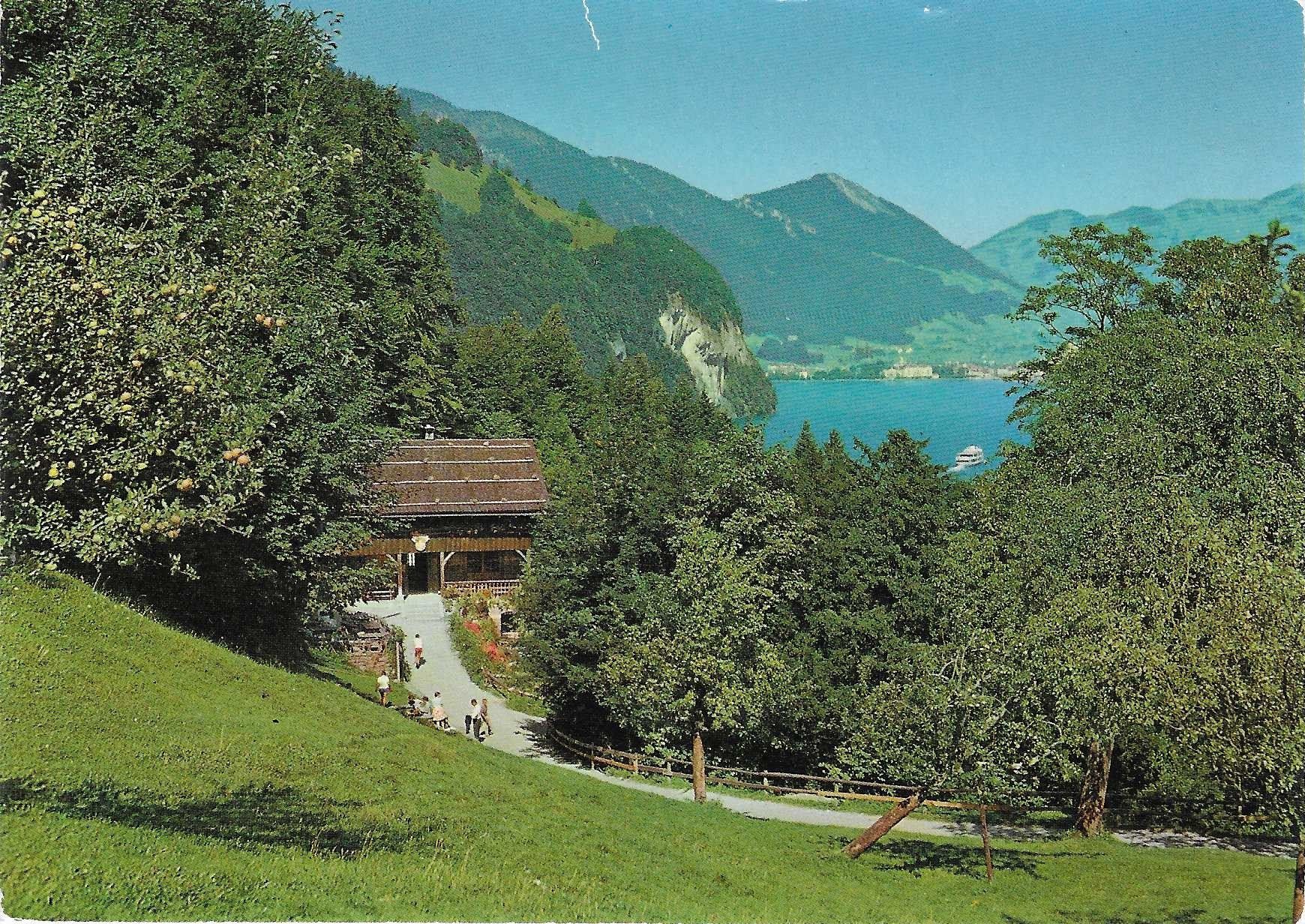 Cartoline postali: Das Rütli UR – Nuovo (secondo la descrizione) da Rothrist venduto da Stranglehold