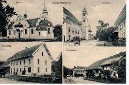 Kestenholz 1916
