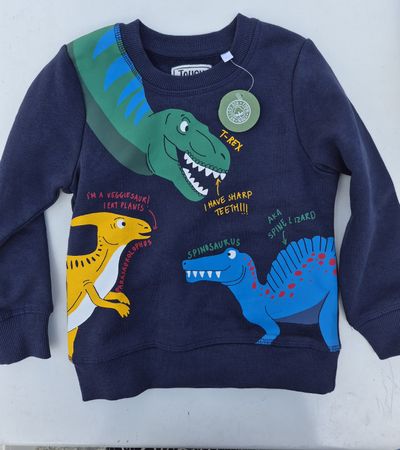 Kinder Pullover TOUGH TEAM Grösse 110 Dinosaurier Aufdruck