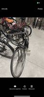 Velo Taurus