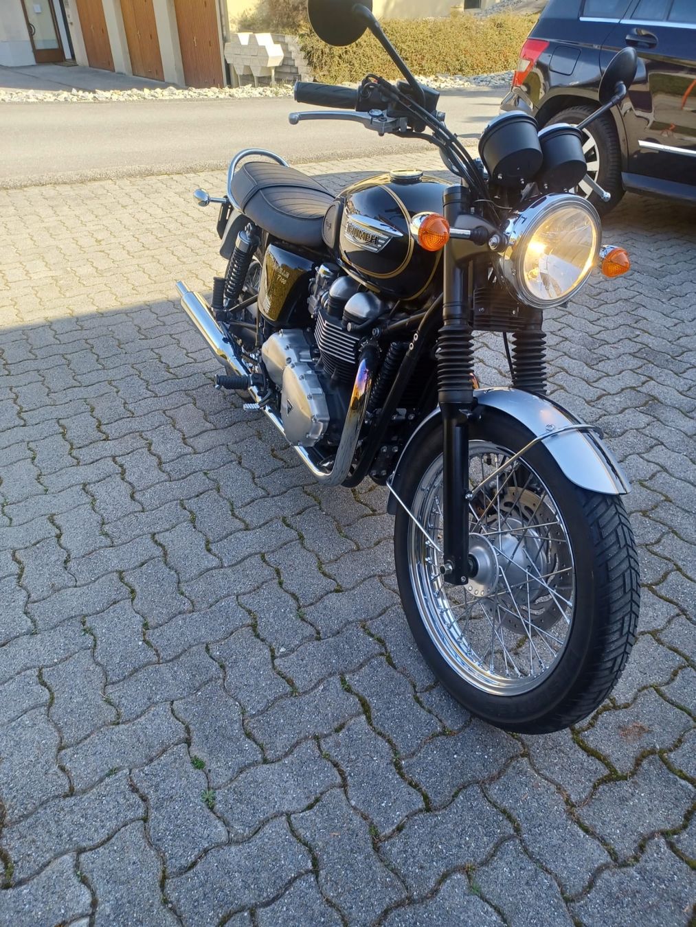 Triumph Altro: Triumph – Usato da Martigny venduto da hunter02