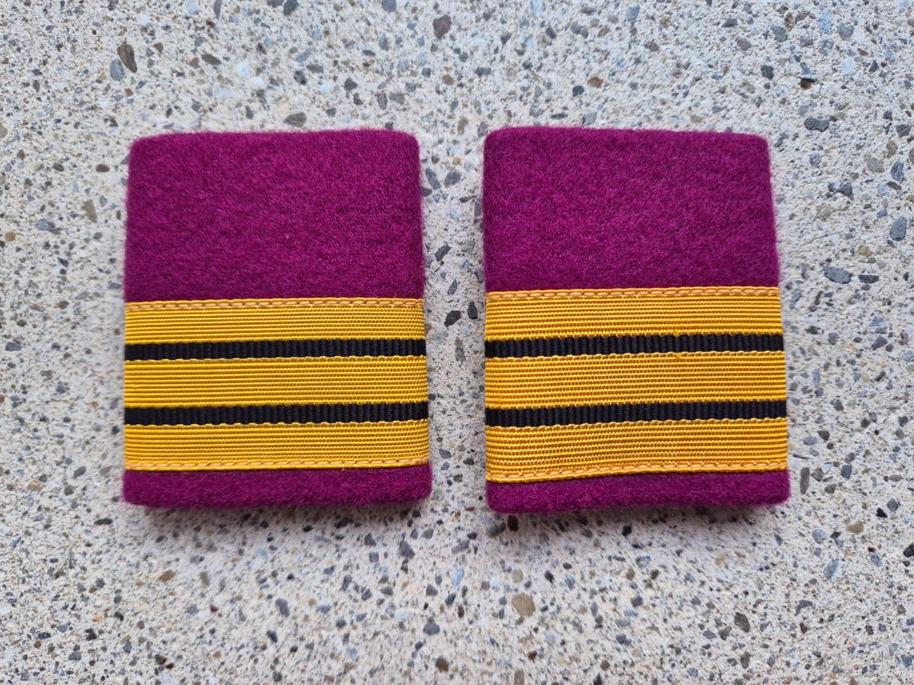 Schweizer Armee Placchette & Badge: * Gradabzeichen Patten Set Oberst Logistik *  – Nuovo e nell'imballaggio originale da Riedholz venduto da fr_sIruP
