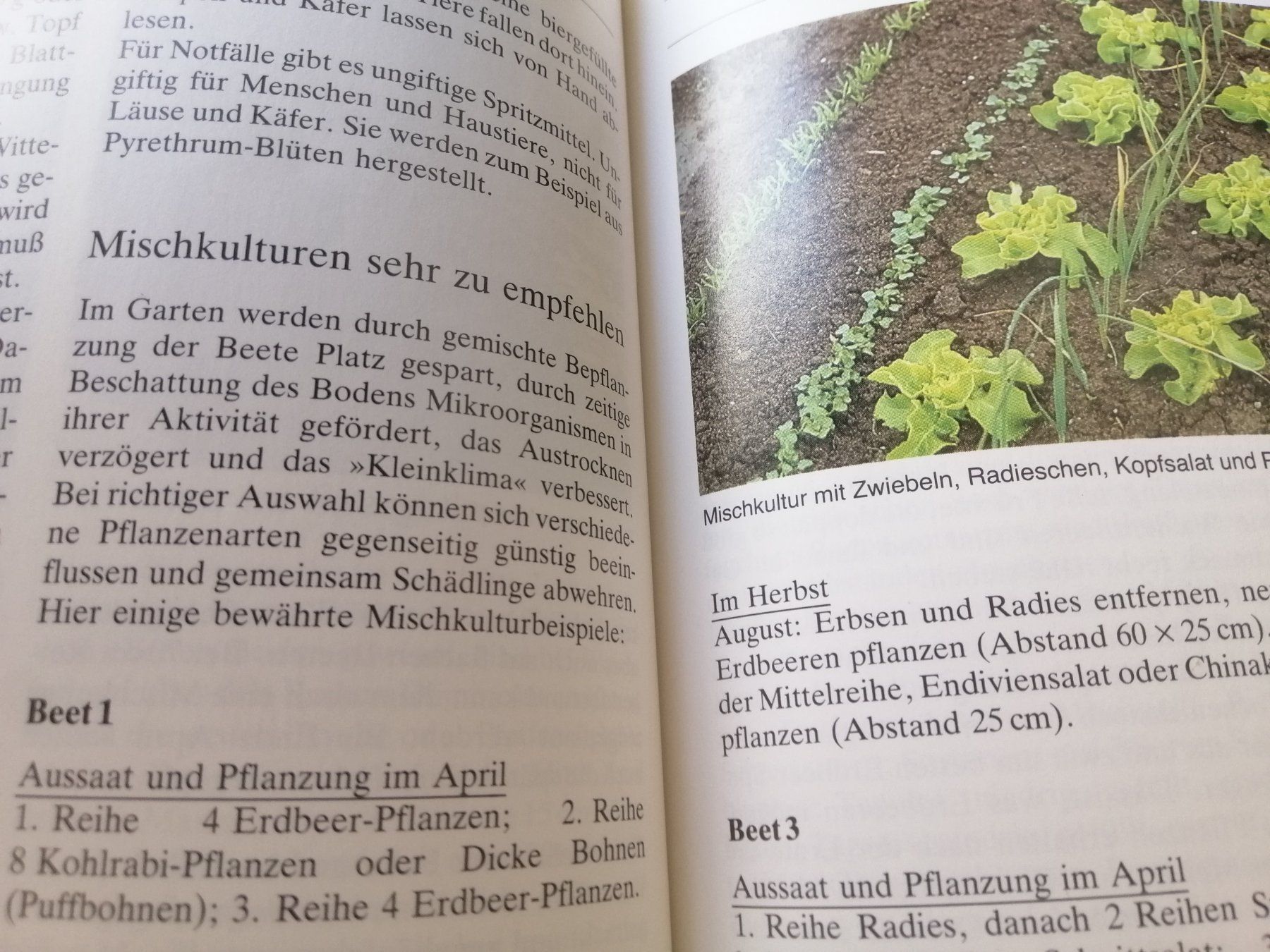 Bücher: Buch Der Garten im Jahreslauf – Gebraucht aus Langenthal von Handstrick 9