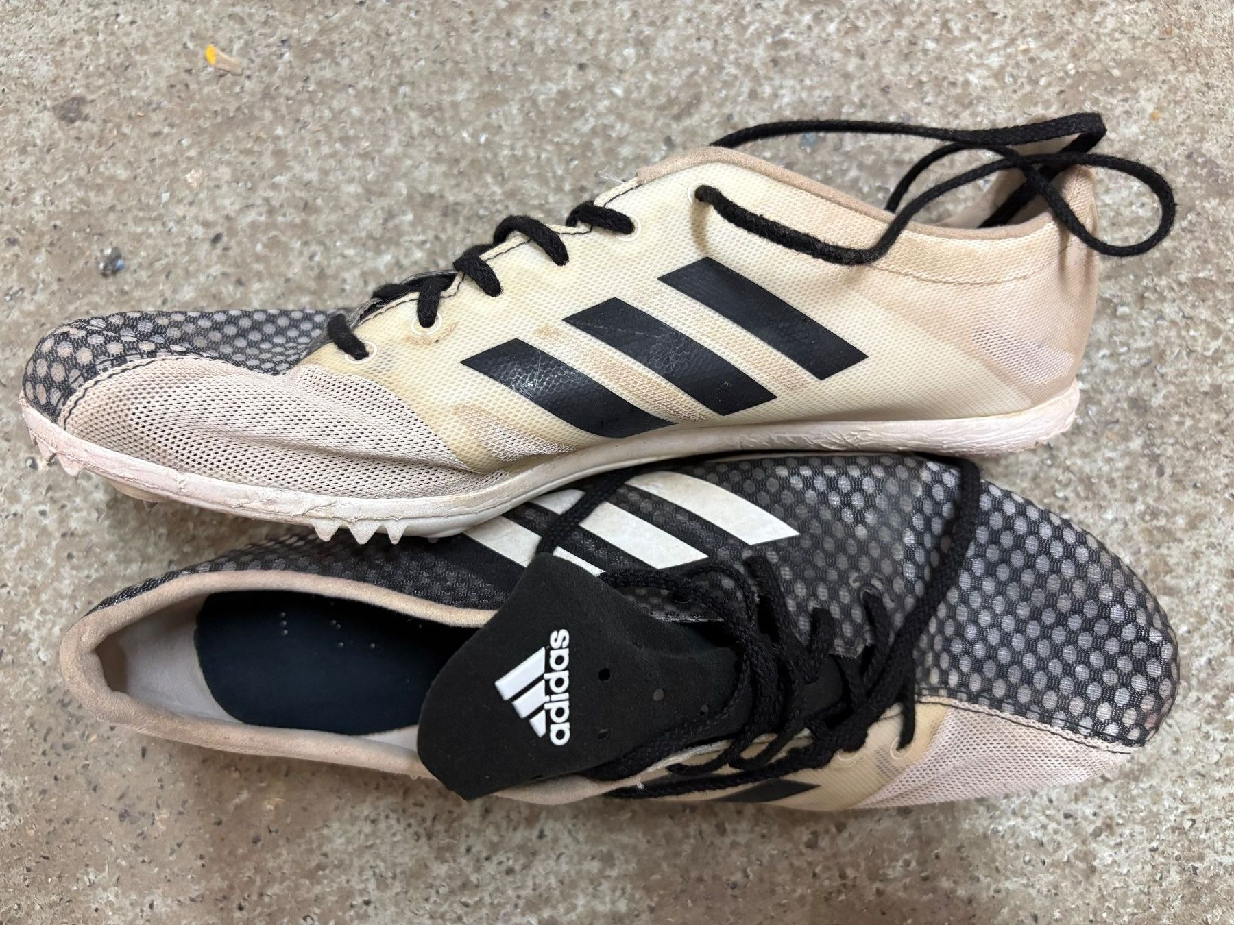 Adidas Scarpe da uomo: Adidas Nagelschuhe Leichtathletik – Usato da Oberentfelden venduto da dar_7gzv 1