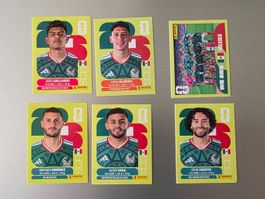 Panini 2026 WM USA MEX Mexiko 6, 10, 13, 16, 18, 20